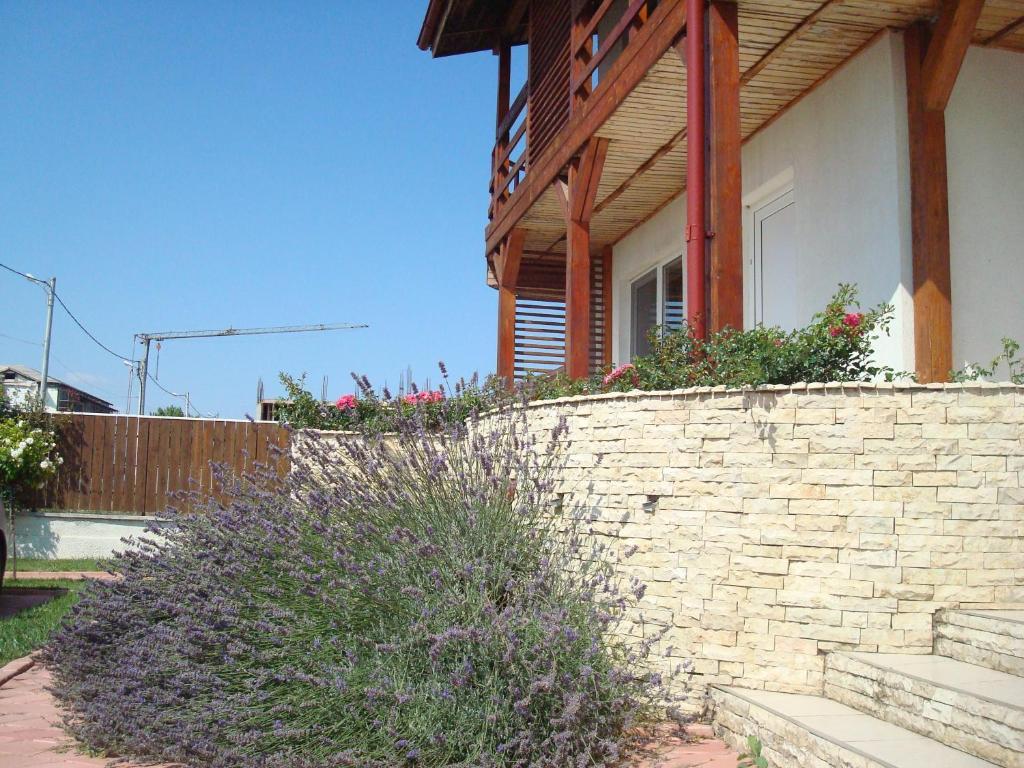 Pension Oasis Costinesti Exterior foto